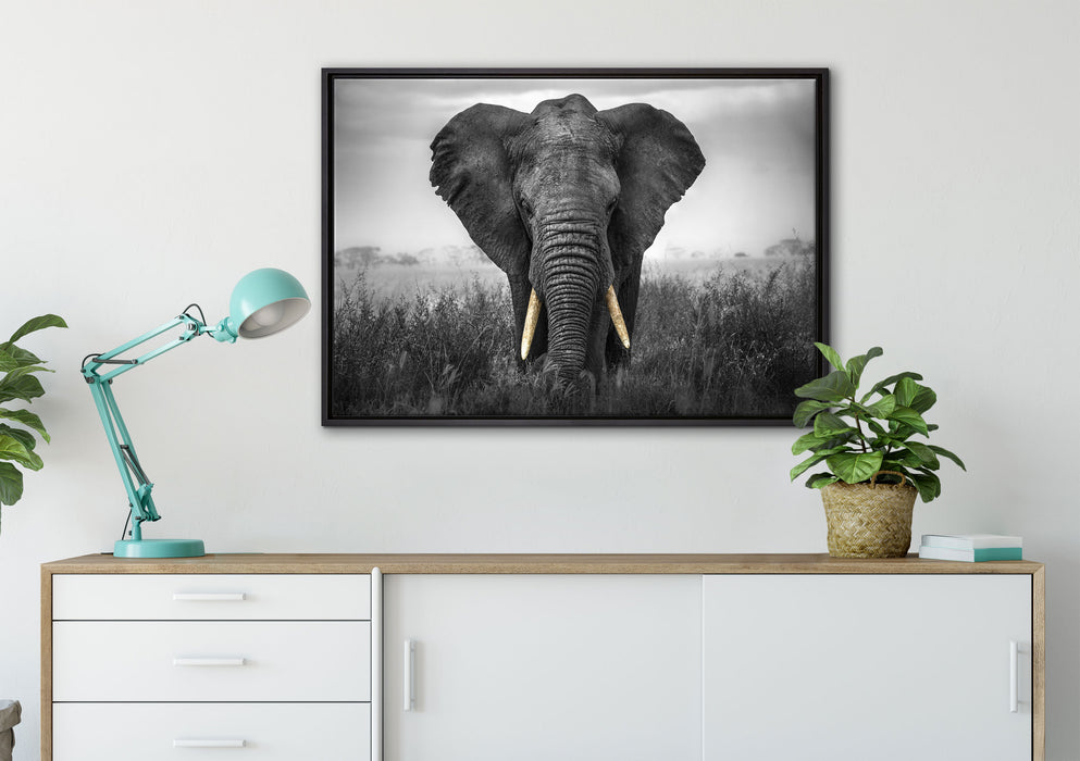 prachtvoller Elefant auf Leinwandbild gerahmt verschiedene Größen im Wohnzimmer