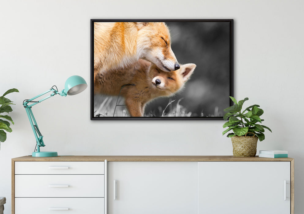 süße kuschelnden Füchse auf Leinwandbild gerahmt verschiedene Größen im Wohnzimmer
