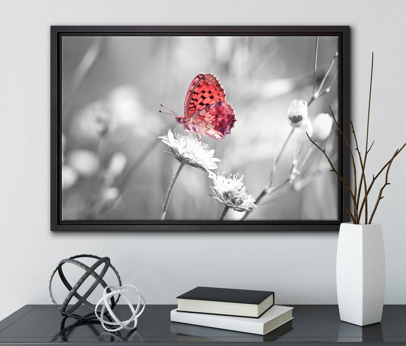Schmetterling auf Blüte auf Leinwandbild gerahmt mit Kirschblüten