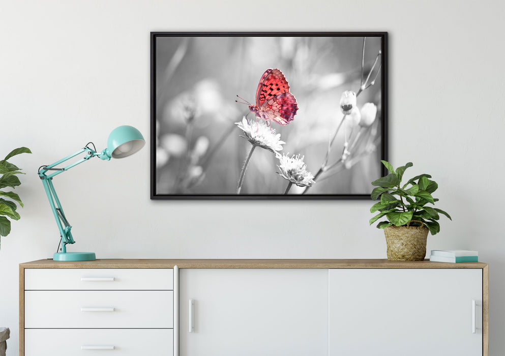 Schmetterling auf Blüte auf Leinwandbild gerahmt verschiedene Größen im Wohnzimmer