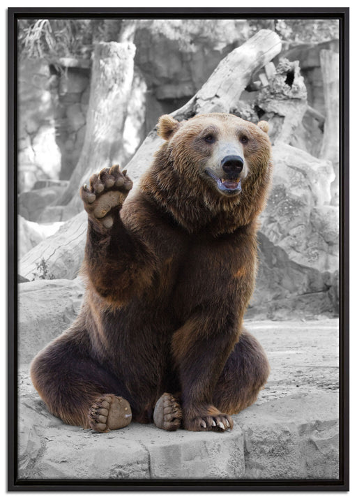 dicker Bär sagt Hallo auf Leinwandbild gerahmt Größe 100x70