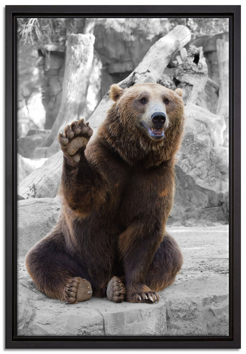 dicker Bär sagt Hallo auf Leinwandbild gerahmt Größe 60x40