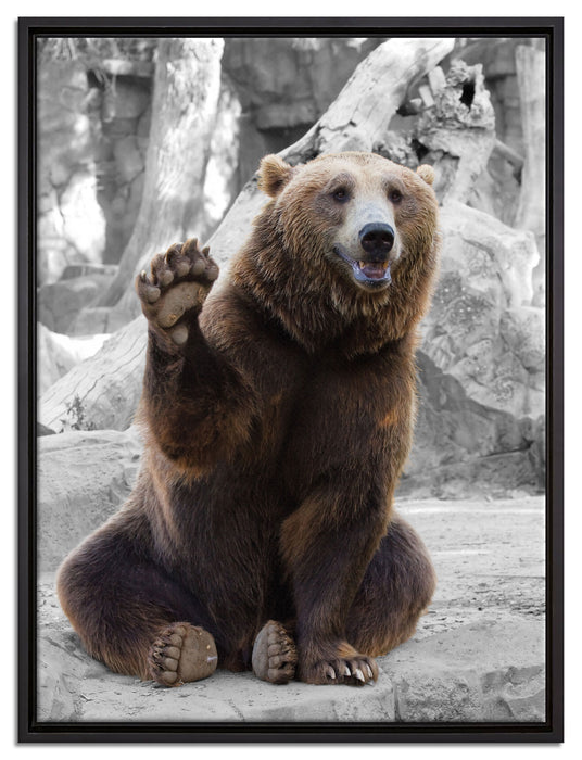 dicker Bär sagt Hallo auf Leinwandbild gerahmt Größe 80x60