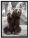 dicker Bär sagt Hallo auf Leinwandbild gerahmt Größe 80x60