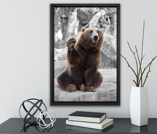 dicker Bär sagt Hallo auf Leinwandbild gerahmt mit Kirschblüten