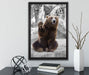 dicker Bär sagt Hallo auf Leinwandbild gerahmt mit Kirschblüten