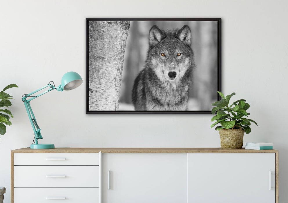 wunderschöner wachsamer Wolf auf Leinwandbild gerahmt verschiedene Größen im Wohnzimmer