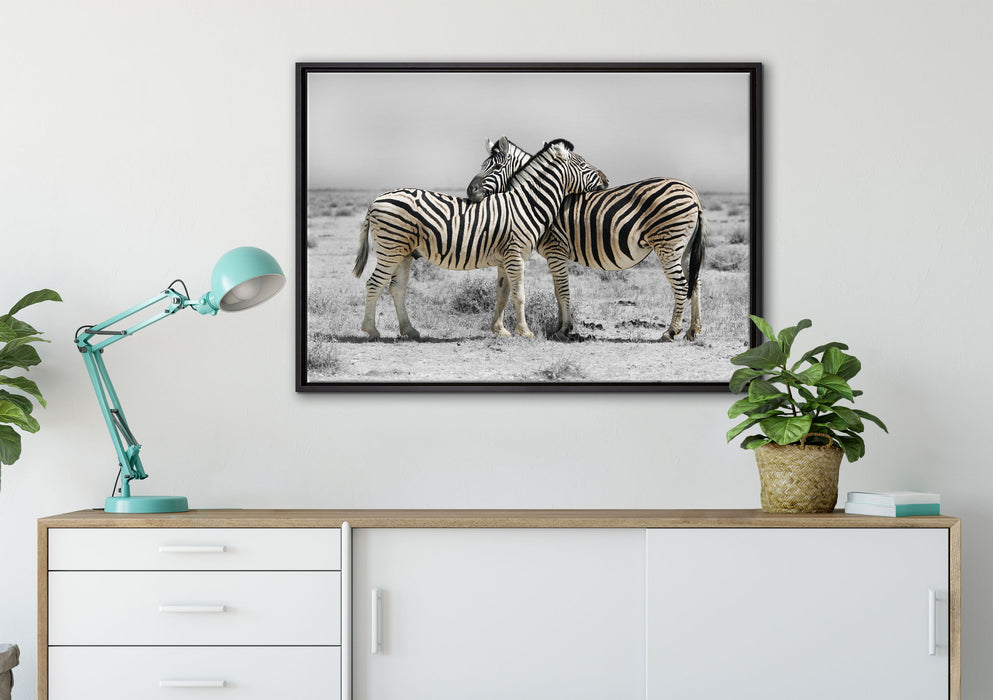 Zebras in der Savanne auf Leinwandbild gerahmt verschiedene Größen im Wohnzimmer