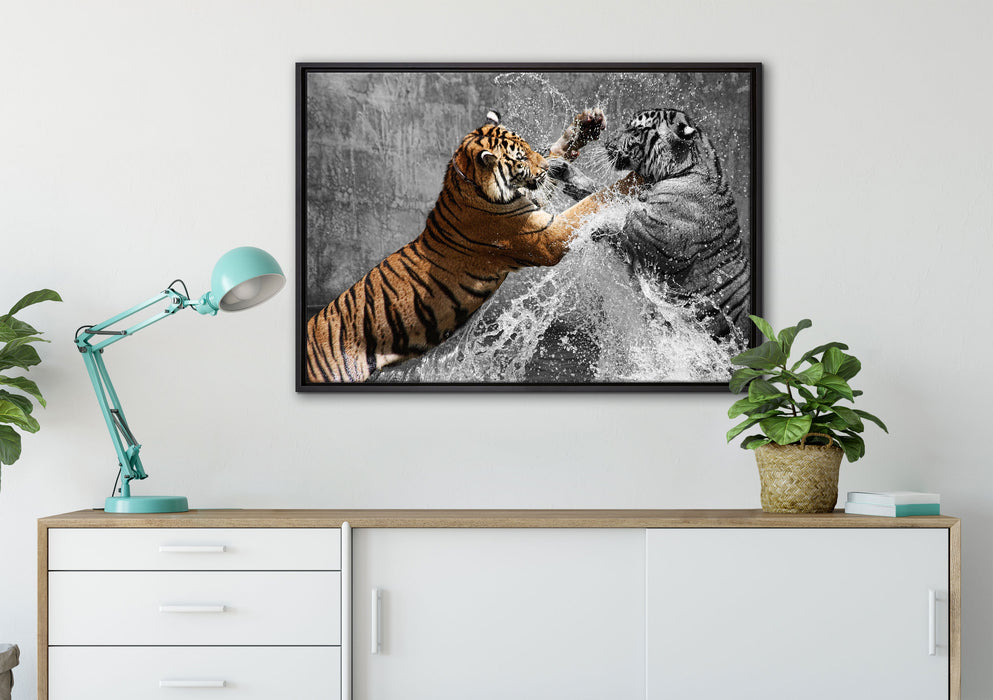 prachtvolle Tiger kämpfen auf Leinwandbild gerahmt verschiedene Größen im Wohnzimmer