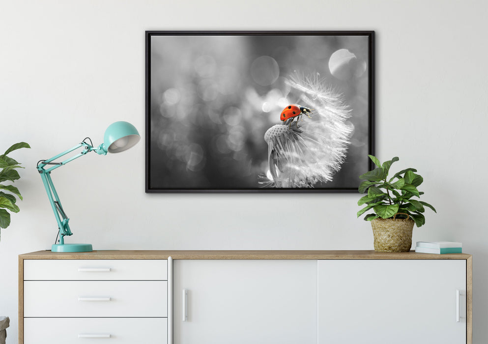 Marienkäfer auf Pusteblume auf Leinwandbild gerahmt verschiedene Größen im Wohnzimmer