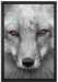 wunderschöner Fuchs im Portrait auf Leinwandbild gerahmt Größe 60x40