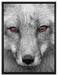 wunderschöner Fuchs im Portrait auf Leinwandbild gerahmt Größe 80x60