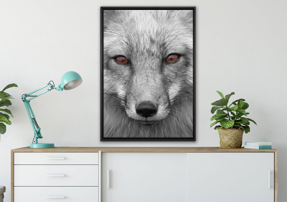 wunderschöner Fuchs im Portrait auf Leinwandbild gerahmt verschiedene Größen im Wohnzimmer