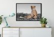 prächtiger Gepard in Savanne auf Leinwandbild gerahmt verschiedene Größen im Wohnzimmer