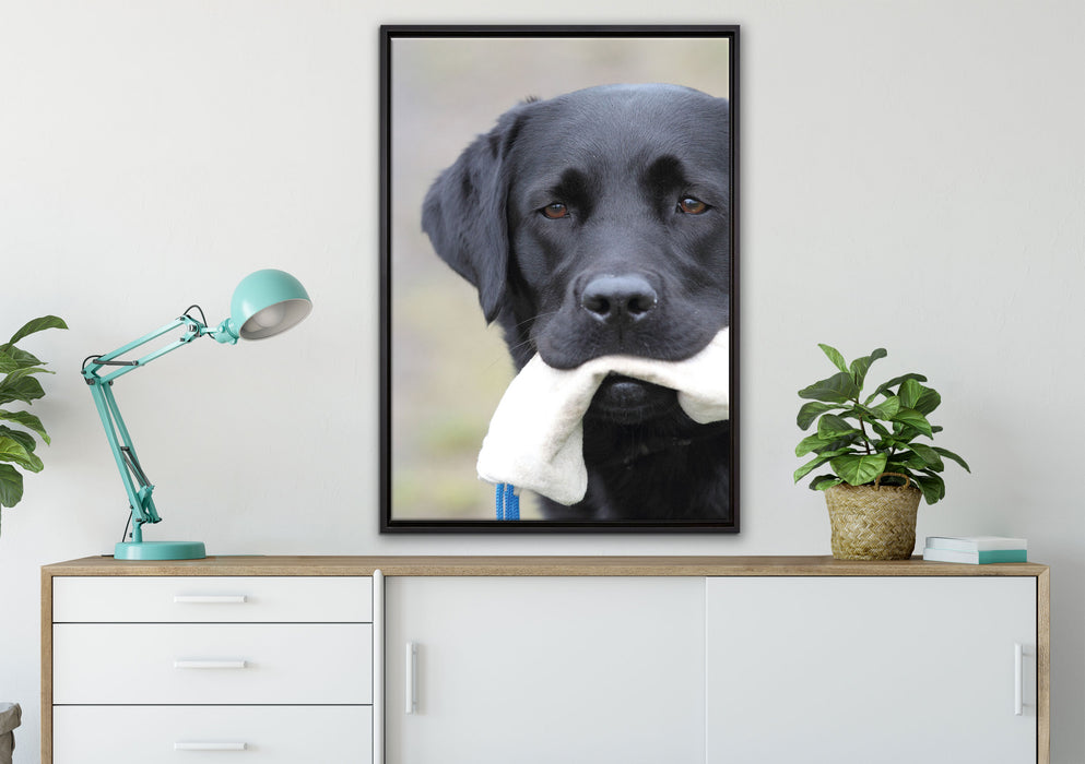 schwarzer Labrador mit Spielzeug auf Leinwandbild gerahmt verschiedene Größen im Wohnzimmer