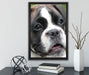Deutscher Boxer Welpe auf Leinwandbild gerahmt mit Kirschblüten