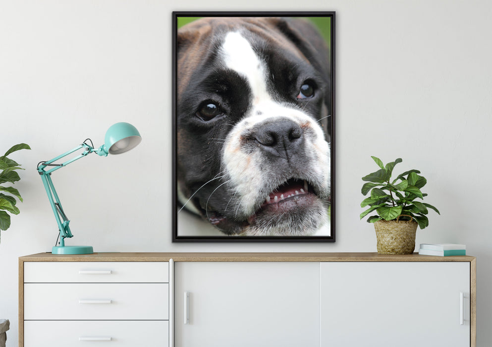 Deutscher Boxer Welpe auf Leinwandbild gerahmt verschiedene Größen im Wohnzimmer