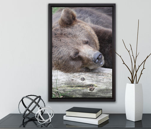 Bär schläft auf Baumstamm auf Leinwandbild gerahmt mit Kirschblüten