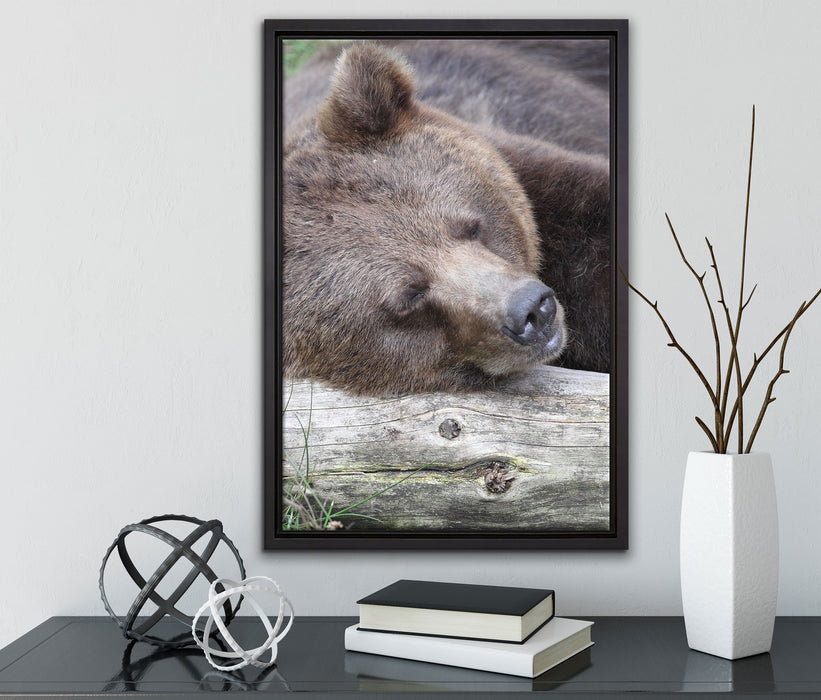 Bär schläft auf Baumstamm auf Leinwandbild gerahmt mit Kirschblüten