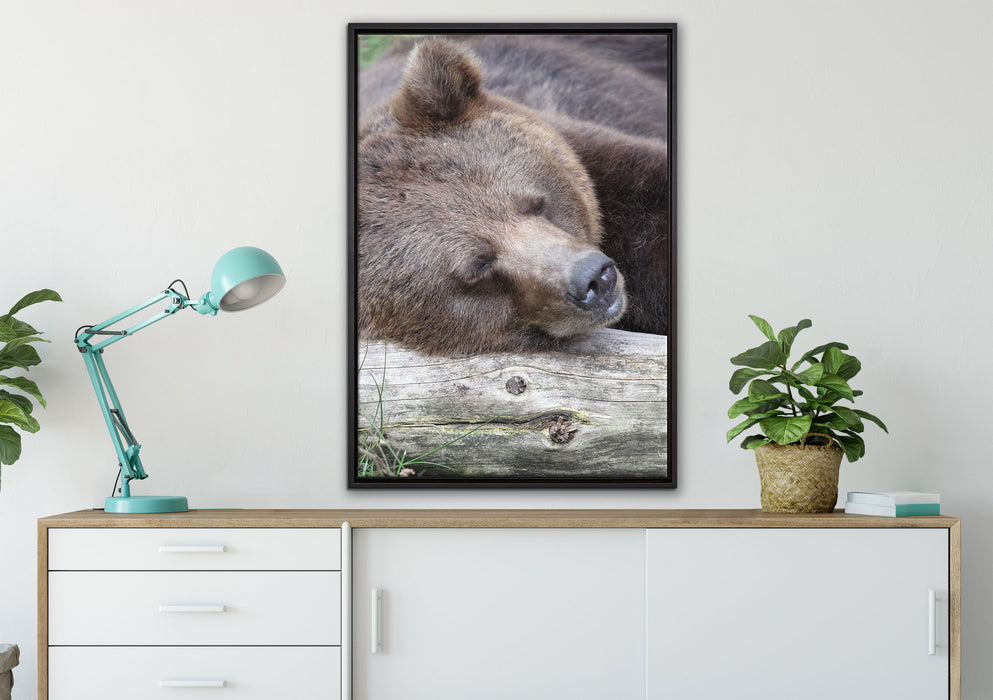 Bär schläft auf Baumstamm auf Leinwandbild gerahmt verschiedene Größen im Wohnzimmer