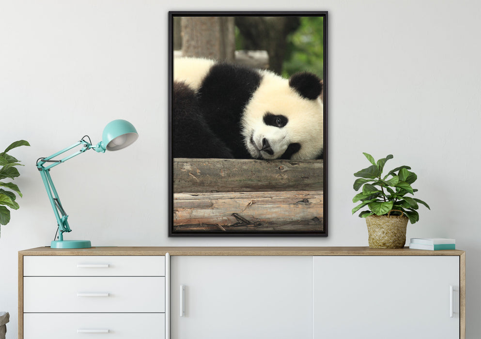 süßer kleiner Pandabär auf Leinwandbild gerahmt verschiedene Größen im Wohnzimmer