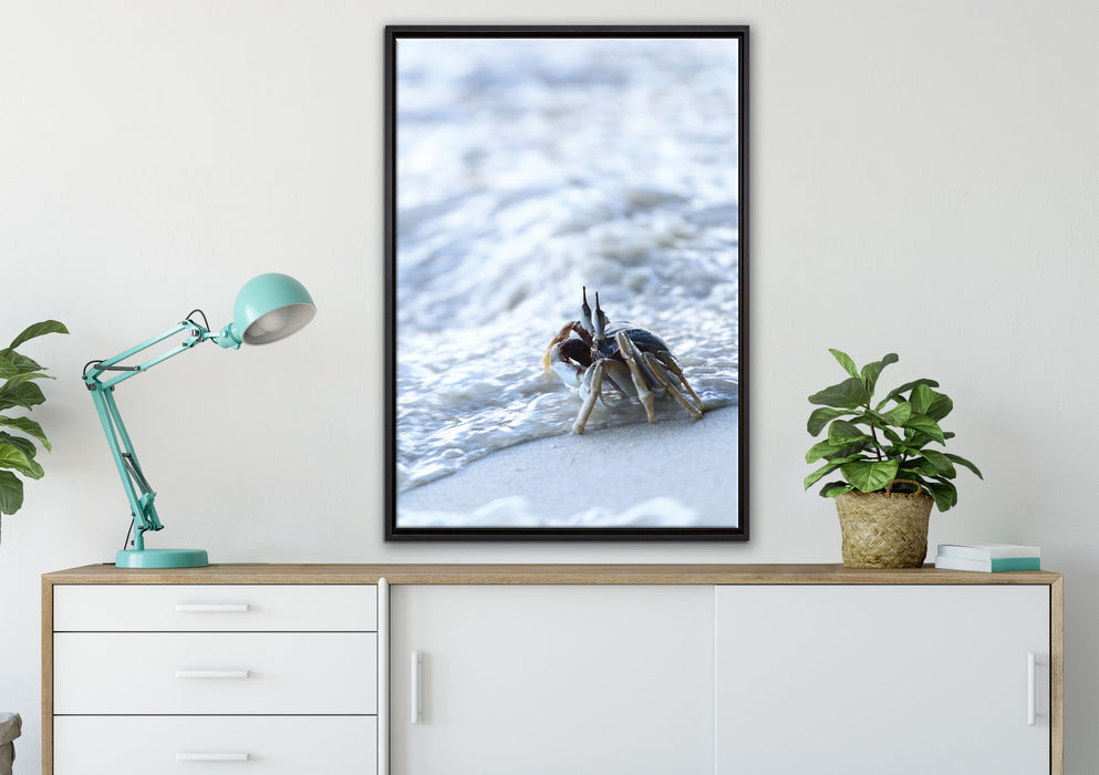 kleine Krabbe am Strand auf Leinwandbild gerahmt verschiedene Größen im Wohnzimmer