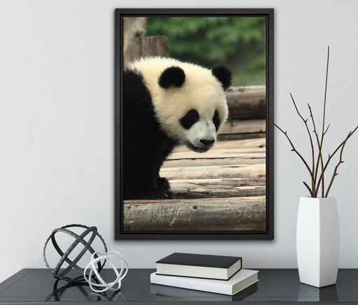 Panda auf Holzstämmen auf Leinwandbild gerahmt mit Kirschblüten