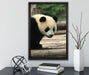 Panda auf Holzstämmen auf Leinwandbild gerahmt mit Kirschblüten