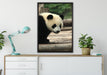 Panda auf Holzstämmen auf Leinwandbild gerahmt verschiedene Größen im Wohnzimmer