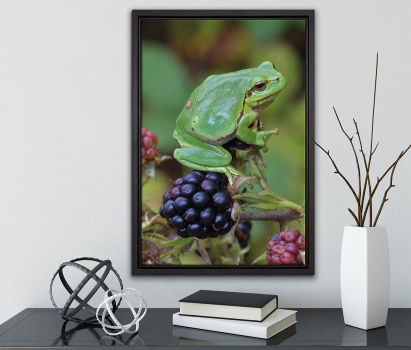 kleiner Frosch auf Brombeerstrauch auf Leinwandbild gerahmt mit Kirschblüten