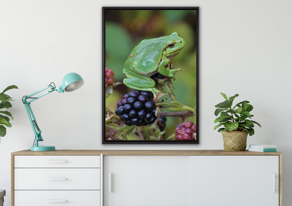kleiner Frosch auf Brombeerstrauch auf Leinwandbild gerahmt verschiedene Größen im Wohnzimmer