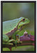 kleiner Frosch auf Dornenast auf Leinwandbild gerahmt Größe 60x40