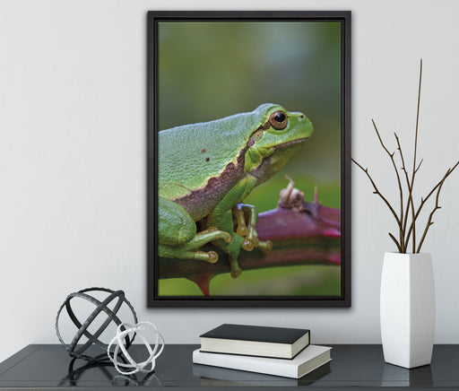 kleiner Frosch auf Dornenast auf Leinwandbild gerahmt mit Kirschblüten
