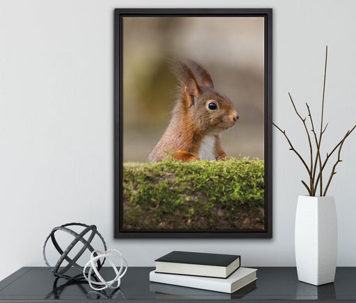 Eichhörnchen hinter Baumstamm auf Leinwandbild gerahmt mit Kirschblüten