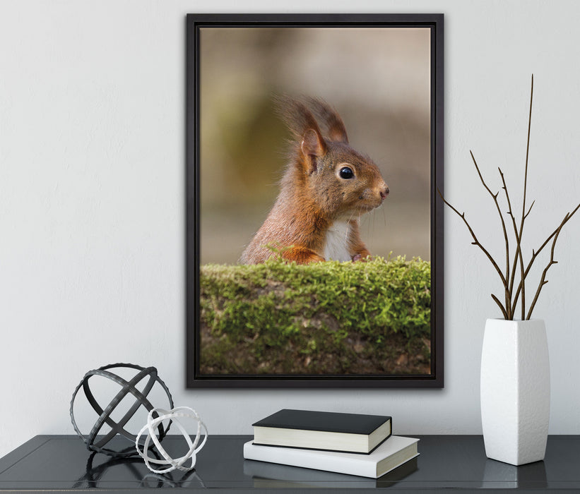 Eichhörnchen hinter Baumstamm auf Leinwandbild gerahmt mit Kirschblüten