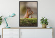 Eichhörnchen hinter Baumstamm auf Leinwandbild gerahmt verschiedene Größen im Wohnzimmer