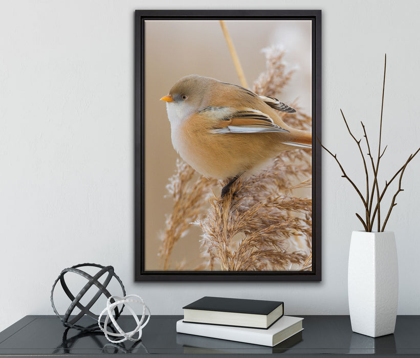 kleiner Vogel auf Weizen auf Leinwandbild gerahmt mit Kirschblüten
