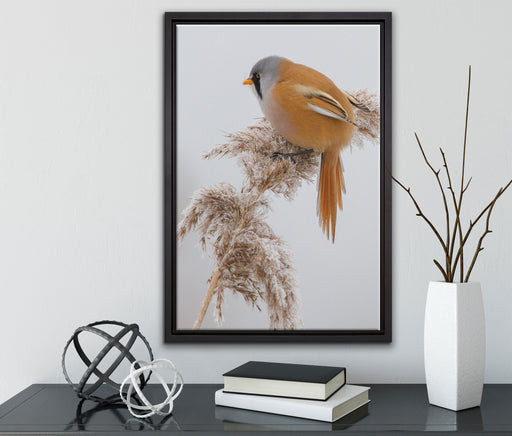 Vogel auf Weizen im Winter auf Leinwandbild gerahmt mit Kirschblüten