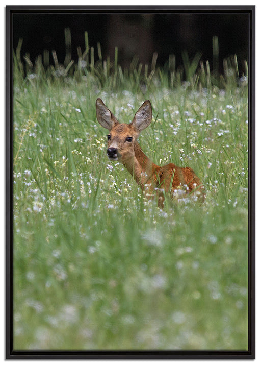 kleines Rehkitz auf Wiese auf Leinwandbild gerahmt Größe 100x70