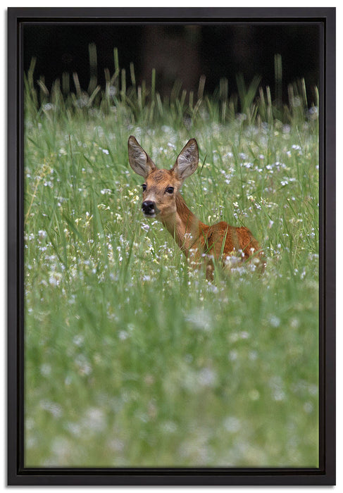 kleines Rehkitz auf Wiese auf Leinwandbild gerahmt Größe 60x40