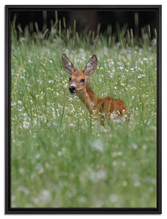 kleines Rehkitz auf Wiese auf Leinwandbild gerahmt Größe 80x60