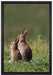 zwei Häschen auf Frühlingswiese auf Leinwandbild gerahmt Größe 60x40