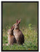 zwei Häschen auf Frühlingswiese auf Leinwandbild gerahmt Größe 80x60