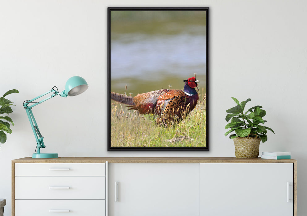 Fasan auf Frühlingswiese auf Leinwandbild gerahmt verschiedene Größen im Wohnzimmer