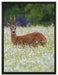 junger Hirsch auf Wildwiese auf Leinwandbild gerahmt Größe 80x60