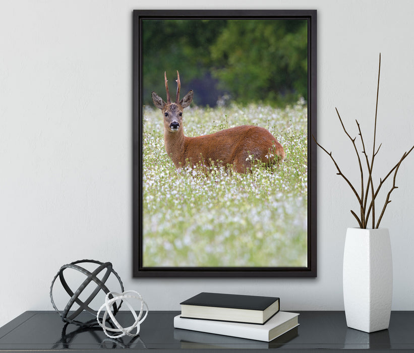 junger Hirsch auf Wildwiese auf Leinwandbild gerahmt mit Kirschblüten