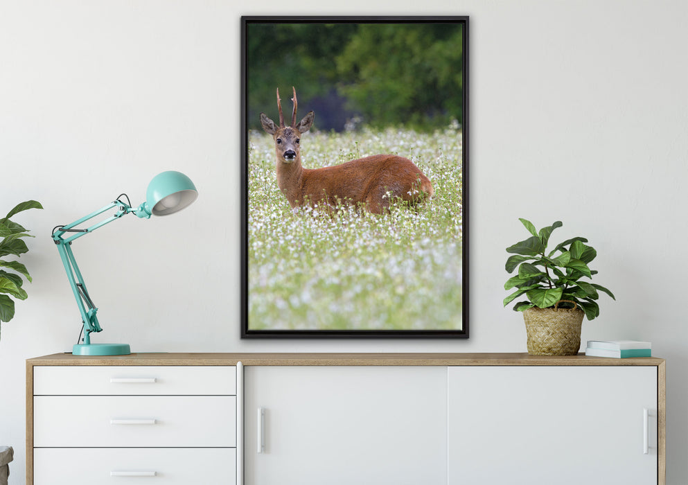 junger Hirsch auf Wildwiese auf Leinwandbild gerahmt verschiedene Größen im Wohnzimmer