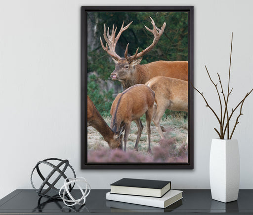 Hirschfamilie auf Waldlichtung auf Leinwandbild gerahmt mit Kirschblüten