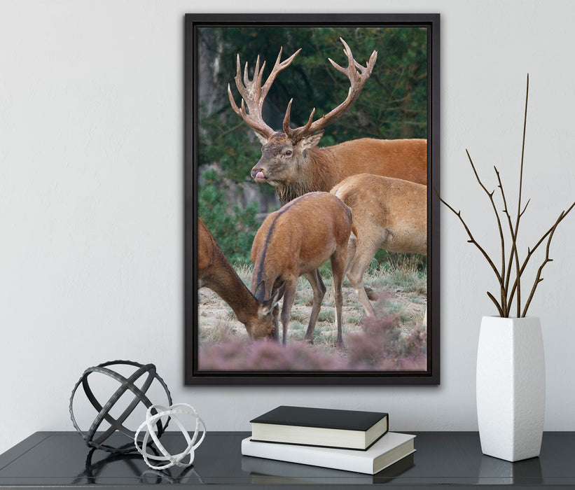 Hirschfamilie auf Waldlichtung auf Leinwandbild gerahmt mit Kirschblüten