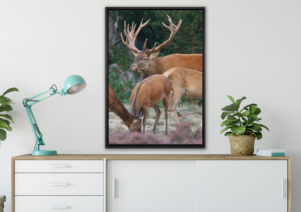 Hirschfamilie auf Waldlichtung auf Leinwandbild gerahmt verschiedene Größen im Wohnzimmer